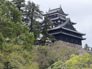 木々の上にそびえる松江城天守