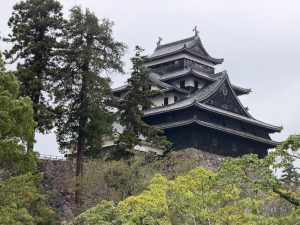 松の緑越しに見える松江城天守